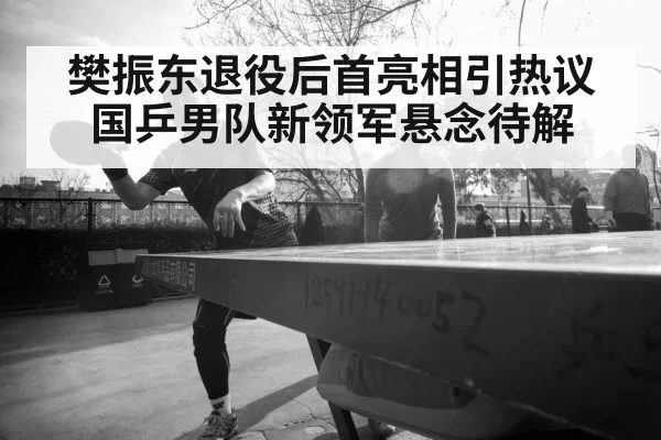 樊振东退役后首亮相引热议 国乒男队新领军悬念待解